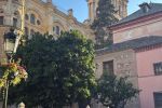Vakantiedialyse Malaga 8