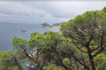 Vakantiedialyse El Vendrell