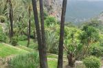 Vakantiedialyse Benidorm 4